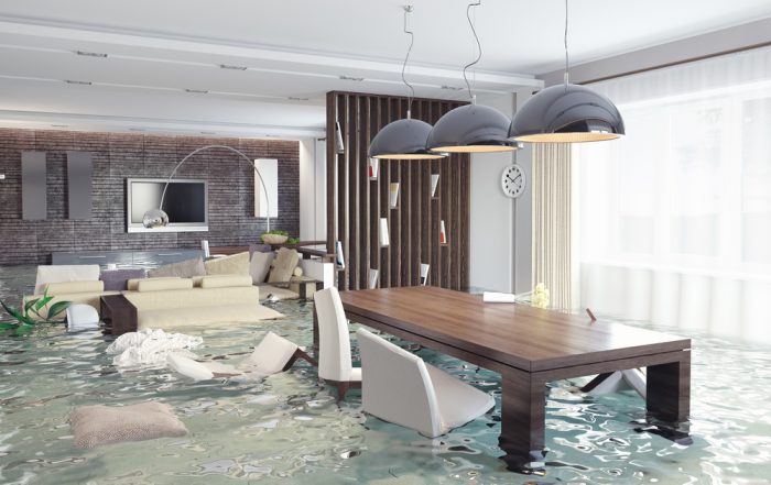 Flooded modern living room