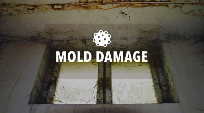 Water Removal Mankato MN – tips to handle mold & water damage