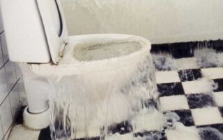 Toilet Over Flowing