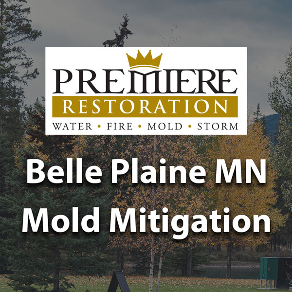 Belle-plaine-mold-remediation-premiere-restoration