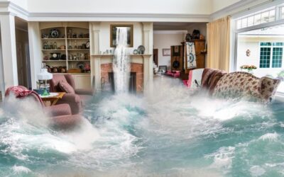 Water Removal Mankato MN – valuable tips to stop water damage