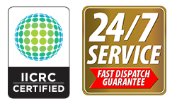 IICRC Certified, 15 Minute Dispatch Guaranteed