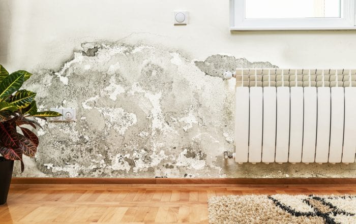 Mold on a wall by a radiator