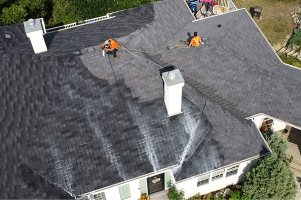 rejuvenate-roof-re-600